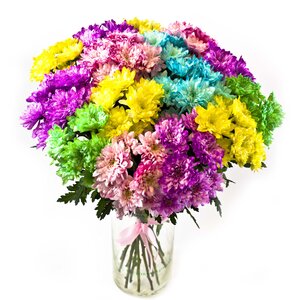 Цветная Крашеная  цветы и букеты с доставкой по Горловке