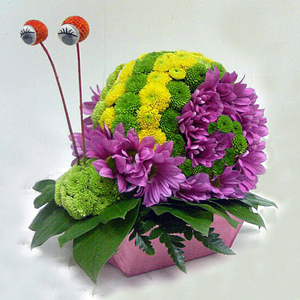 Улитка цветы и букеты с доставкой по Горловке