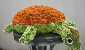 Черепаха цветы и букеты с доставкой по Горловке