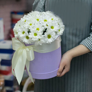 Хризантемы белые кустовые в коробке цветы и букеты с доставкой по Горловке