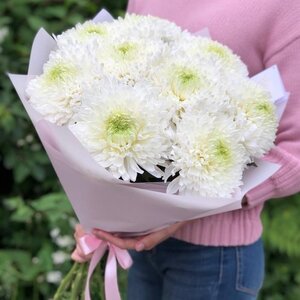 Букет из 9 одиночных хризантем цветы и букеты с доставкой по Горловке