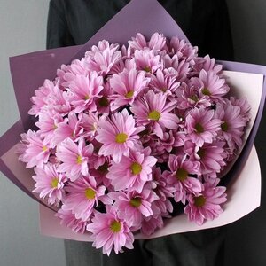 9 розовых хризантем в матовой пленке цветы и букеты с доставкой по Горловке