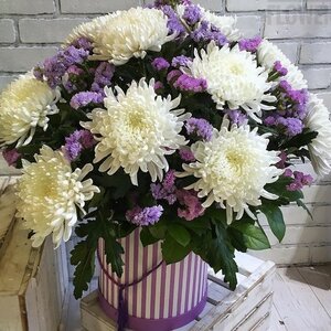 Шляпная коробка с хризантемой и статицей цветы и букеты с доставкой по Горловке
