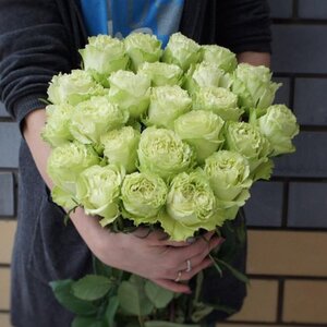 25 роз Лимонад 70 см цветы и букеты с доставкой по Горловке